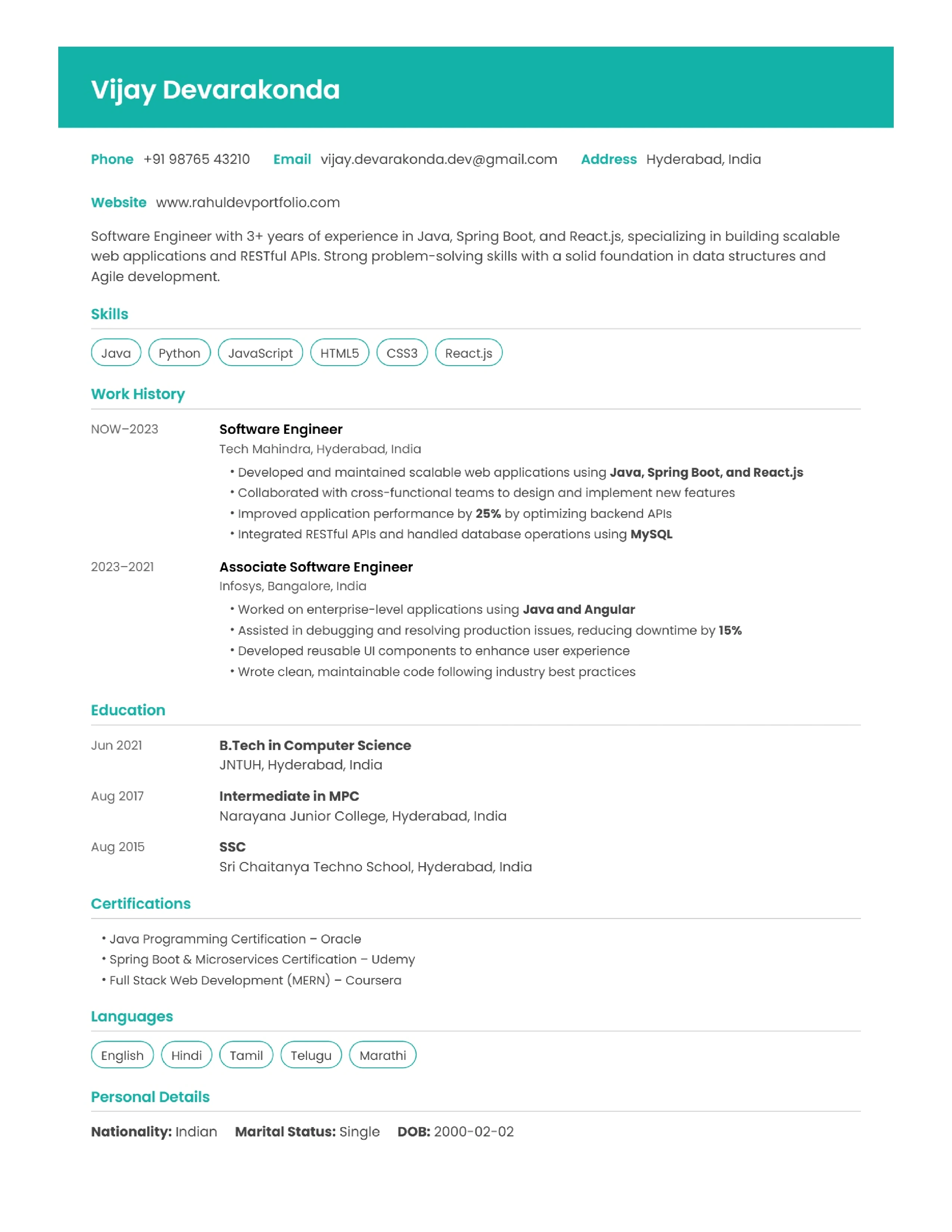 Resume Template 17